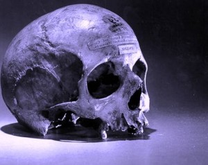 Skull_of_Alexander_Pearce