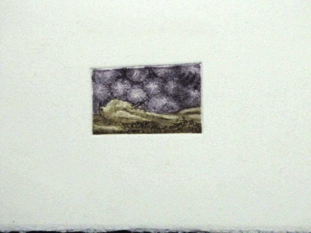 Transmigration. Aguafuerte y Aguatinta. Medidas 5 x 7 cm