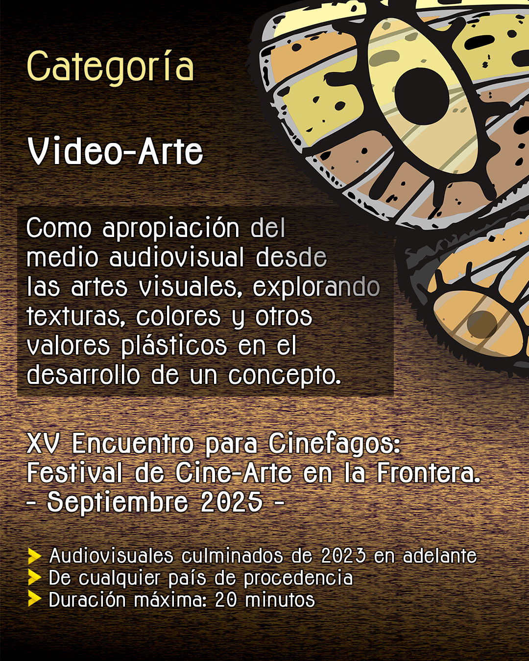 Video-Arte