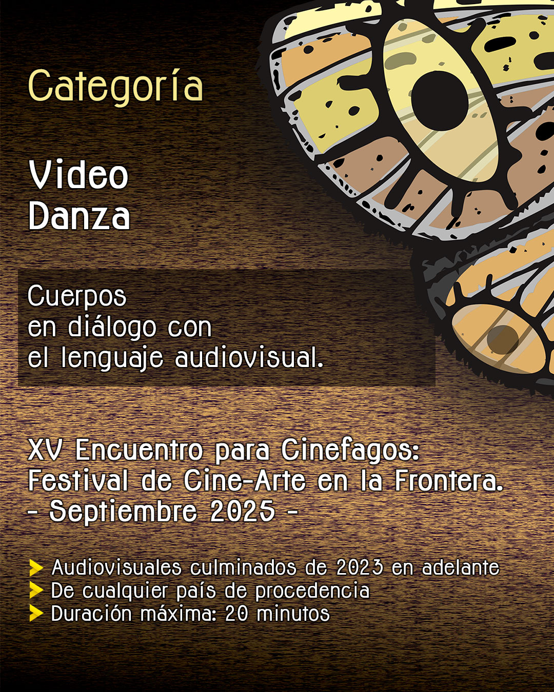 Video Danza