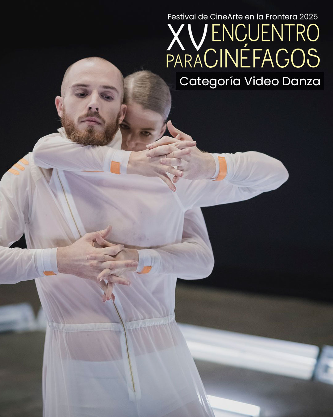 Video Danza