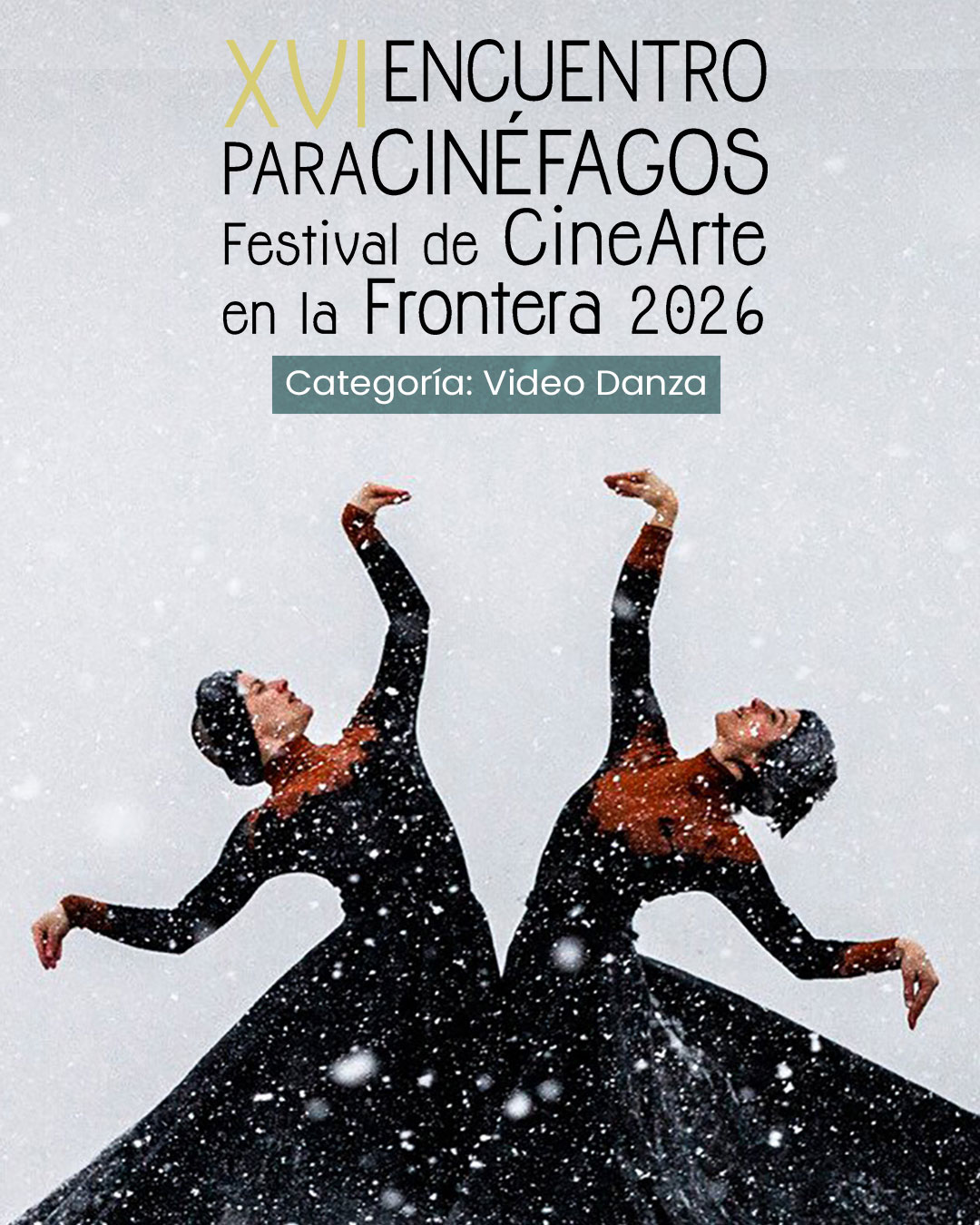 Video Danza